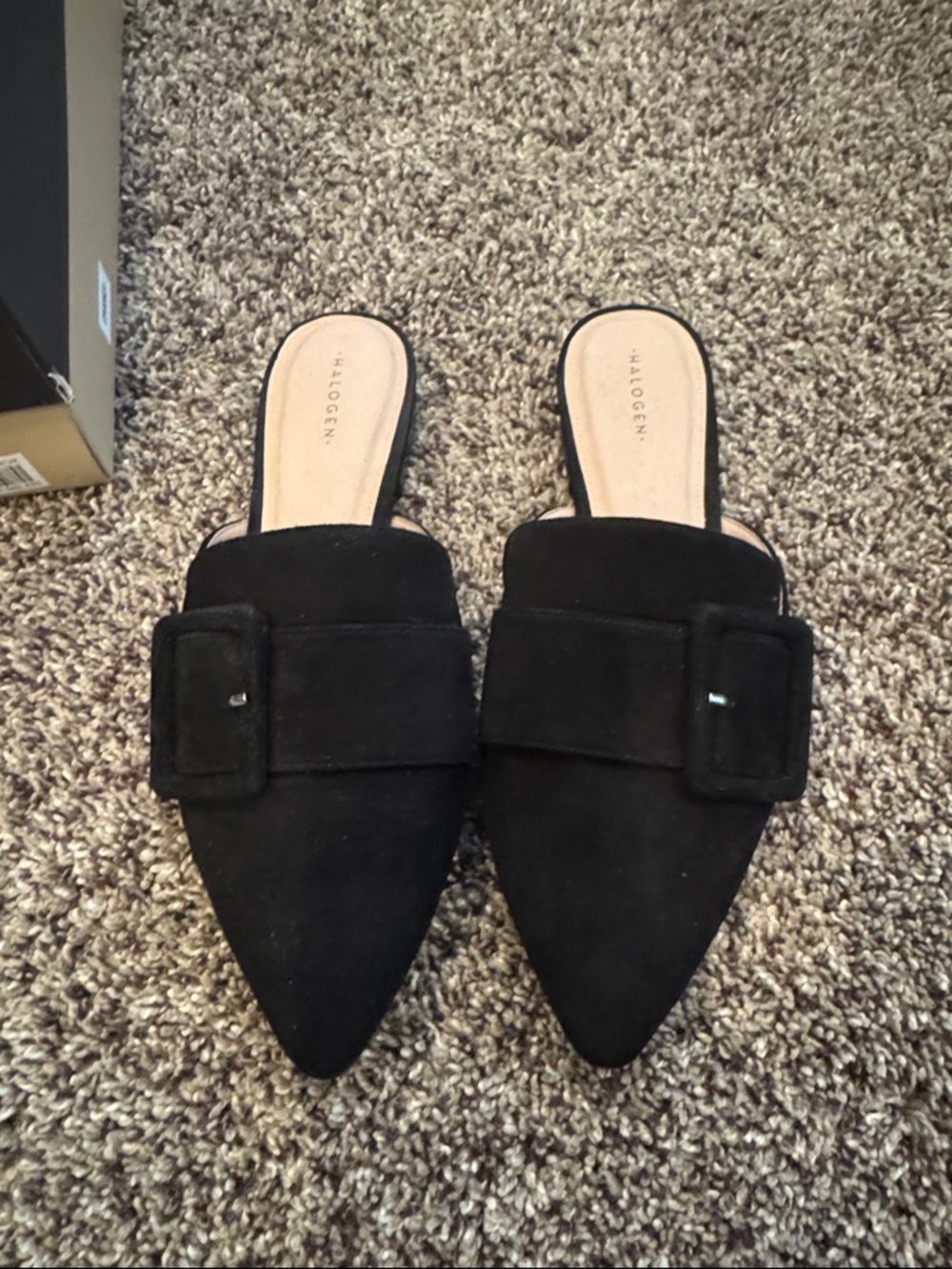 Halogen Black Pointed Suede Buckle Mule Slides
